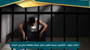 عاجل اليوم.. تفاصيل جريمة طعن عامل زميله بقطعة زجاج في إمبابة